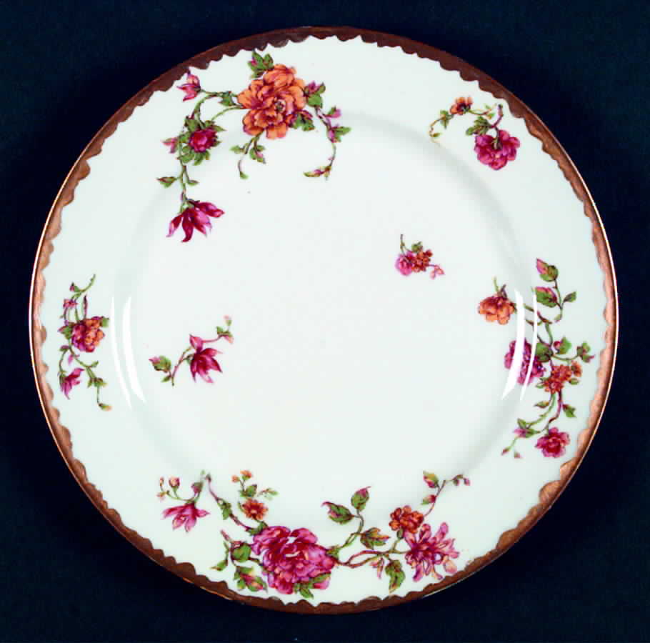 Alsace Dinner Plate by Haviland-1