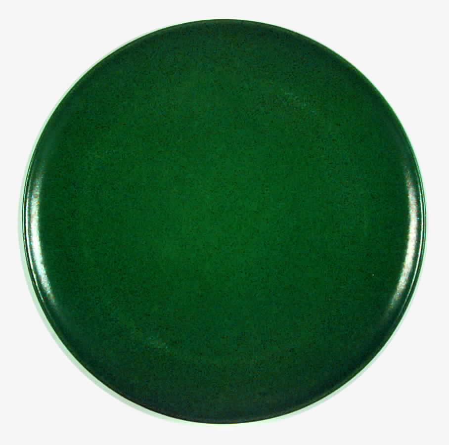HTH5 Dinner Plate by Heath-1