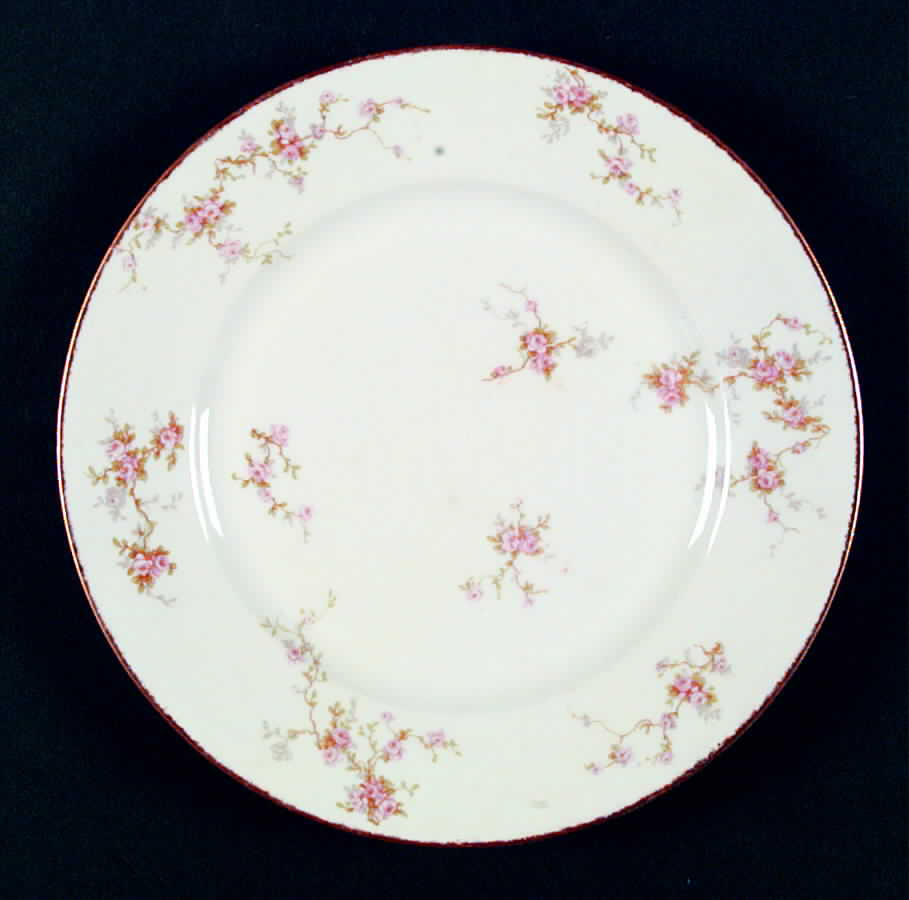 H1210 Dinner Plate by Haviland-1