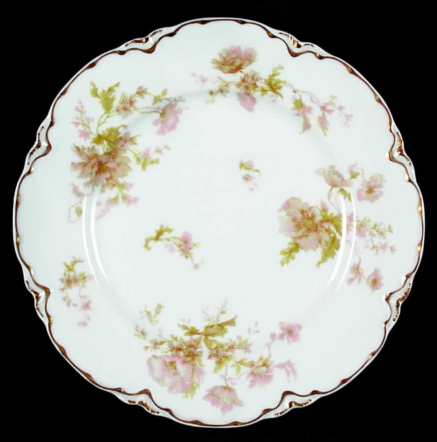 Schleiger 79c Dinner Plate by Haviland-1