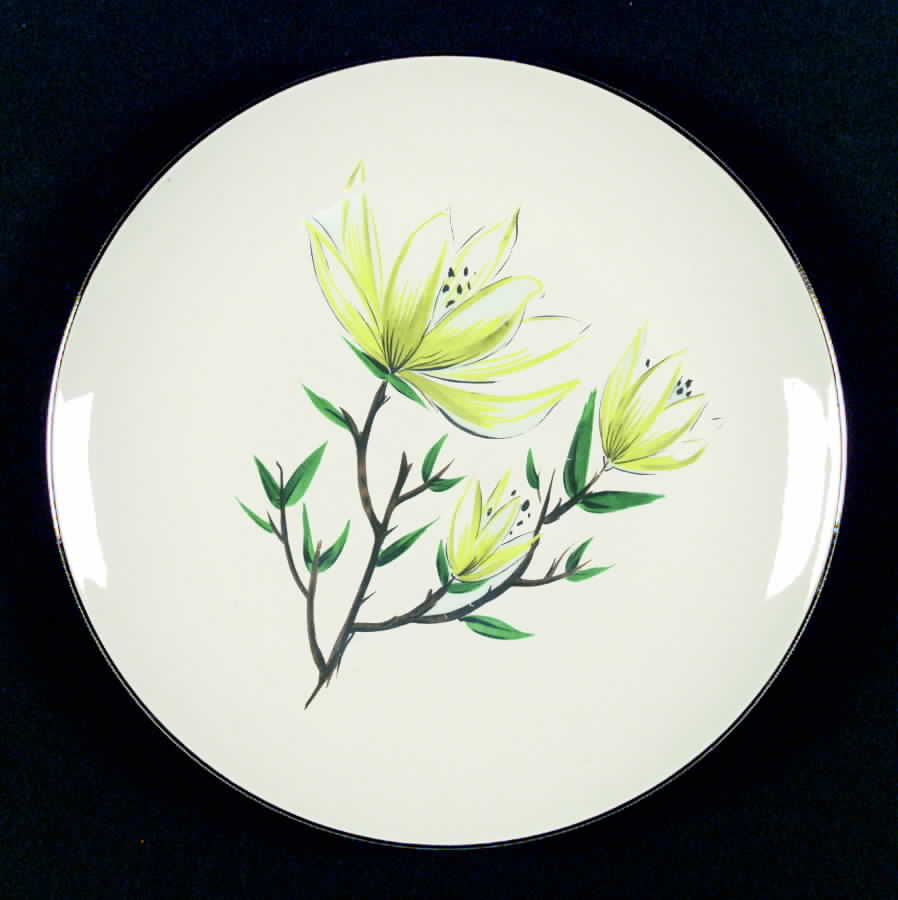 RY191 Dinner Plate by Homer Laughlin -1