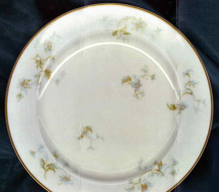 Schleiger 905 Salad Plate by Haviland-1