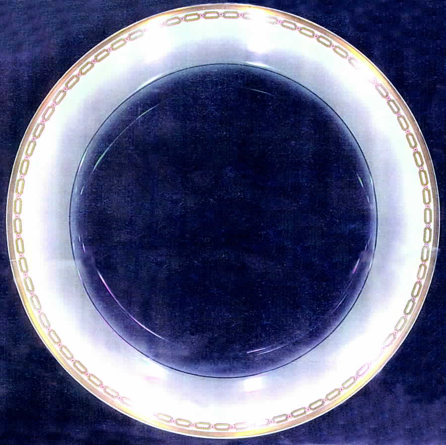 Schleiger 588-2 Dinner Plate by Haviland-1