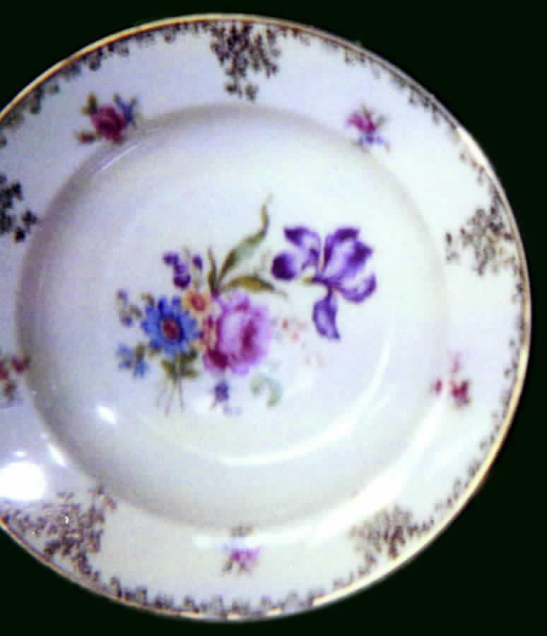 HUT738 Dinner Plate by Hutschenreuther-1