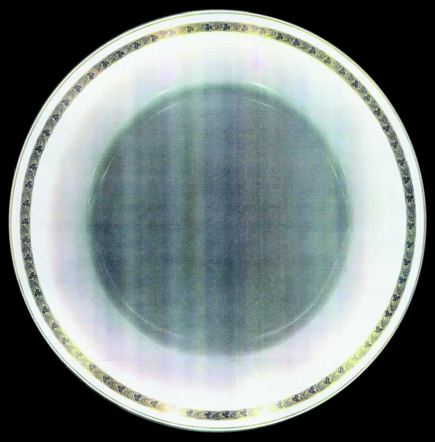 16705 Dinner Plate by Hutschenreuther-1