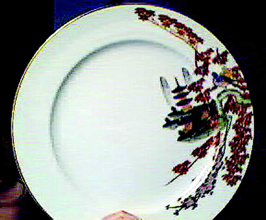 HYA5 Dinner Plate by Hayasi-1