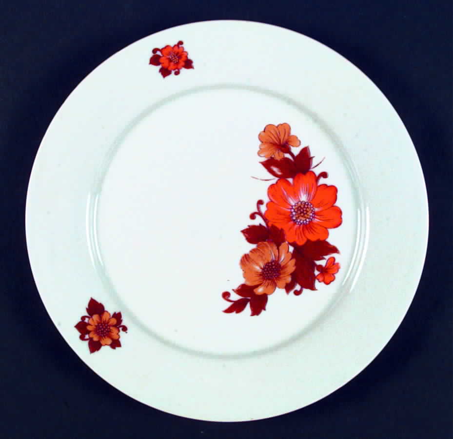 HUT821 Dinner Plate by Hutschenreuther-1