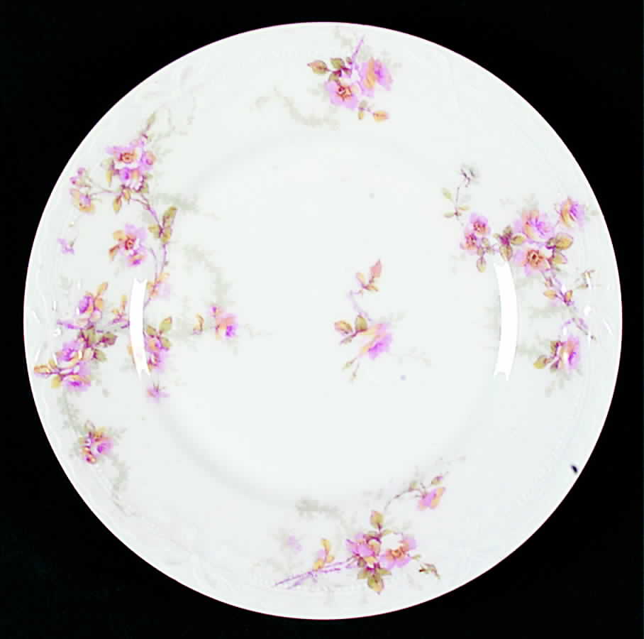 Schleiger 141b Salad Plate by Haviland-1
