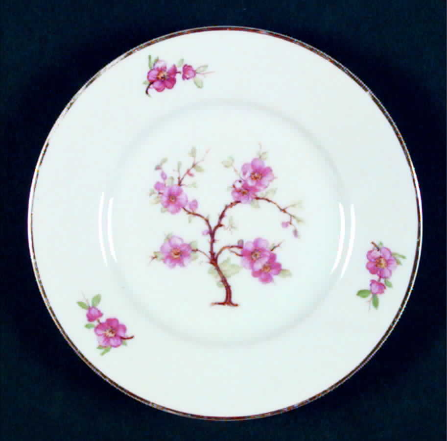 04066 Bread & Butter Plate by Hutschenreuther-1