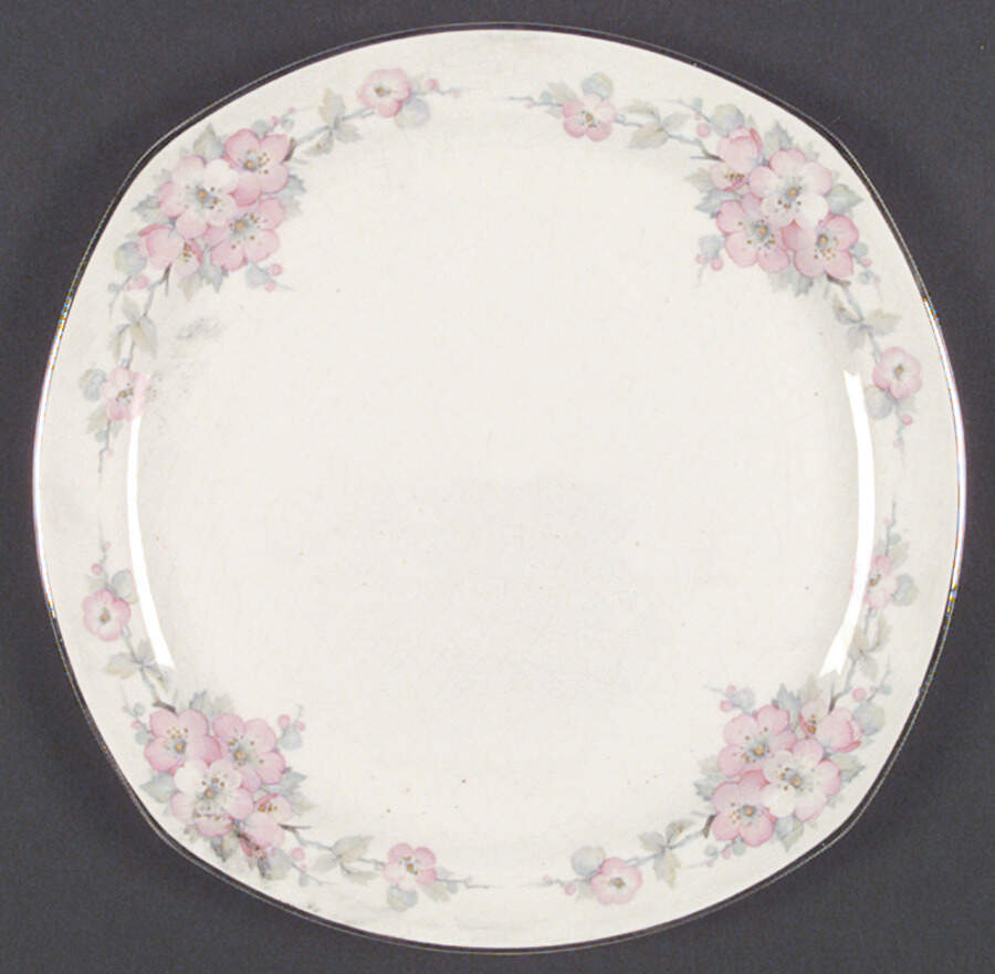 J2-J102 Dinner Plate by Homer Laughlin -1