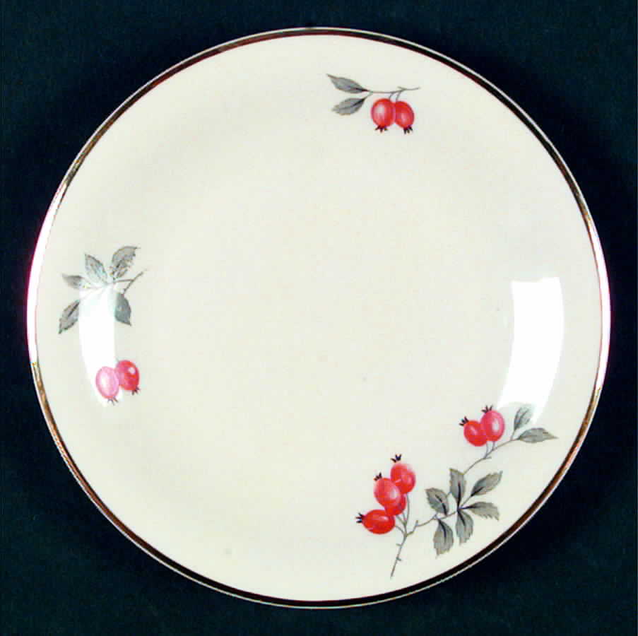 6020 Bread & Butter Plate by Hutschenreuther-1