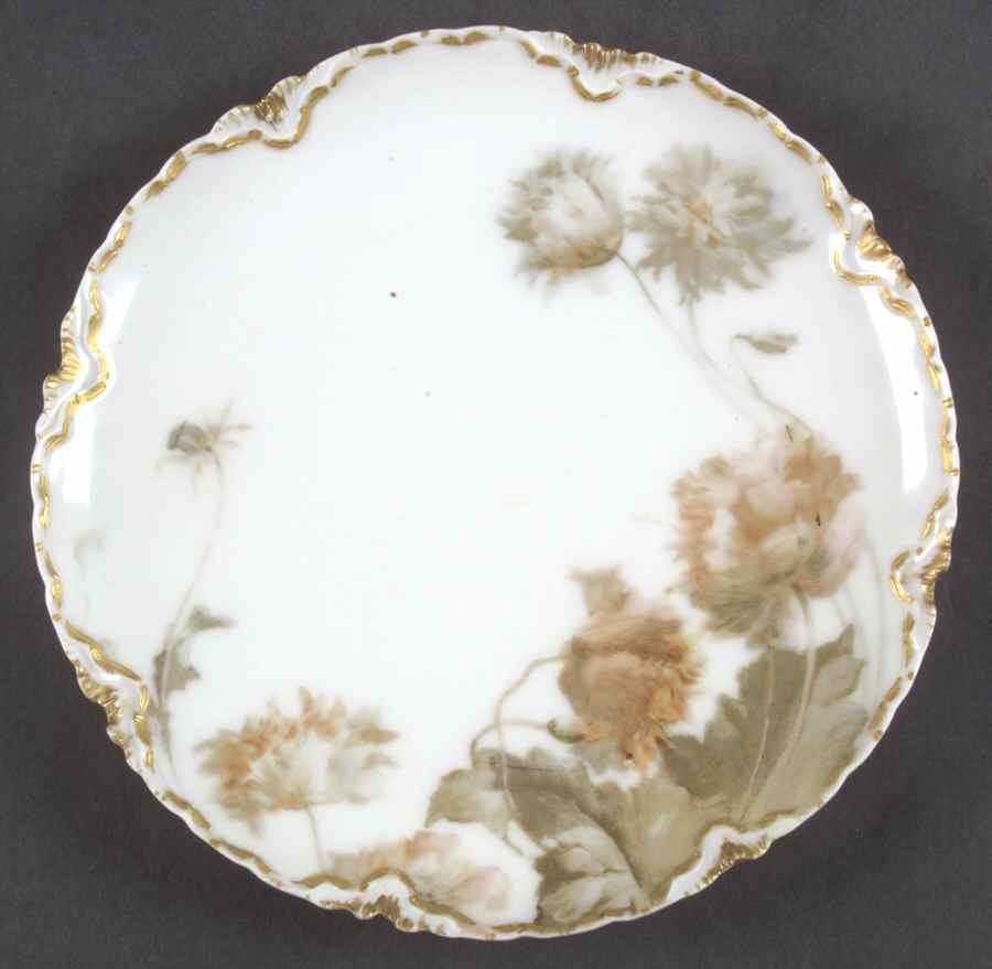 Flowers and Seeds (Blank 25) Coupe Salad Plate by Haviland-1