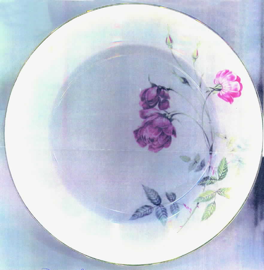 HC635 Dinner Plate by Heinrich - H&C-1