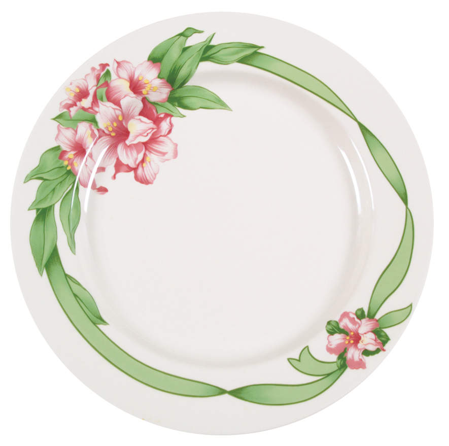 HLC1138 Dinner Plate by Homer Laughlin -1