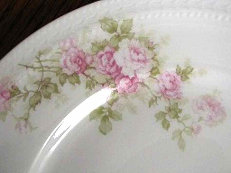 Schleiger 30a Dinner Plate by Haviland-1