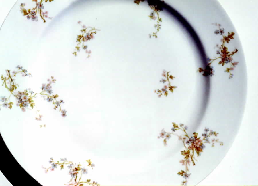 Schleiger 34c Dinner Plate by Haviland-1