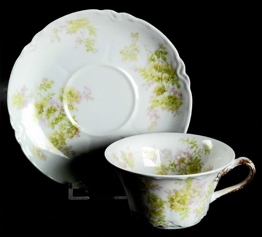 Schleiger 35a Flat Cup & Saucer Set by Haviland-1