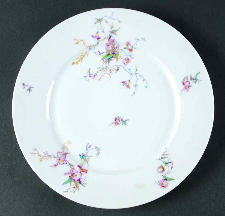 H1251 Dinner Plate by Haviland-1