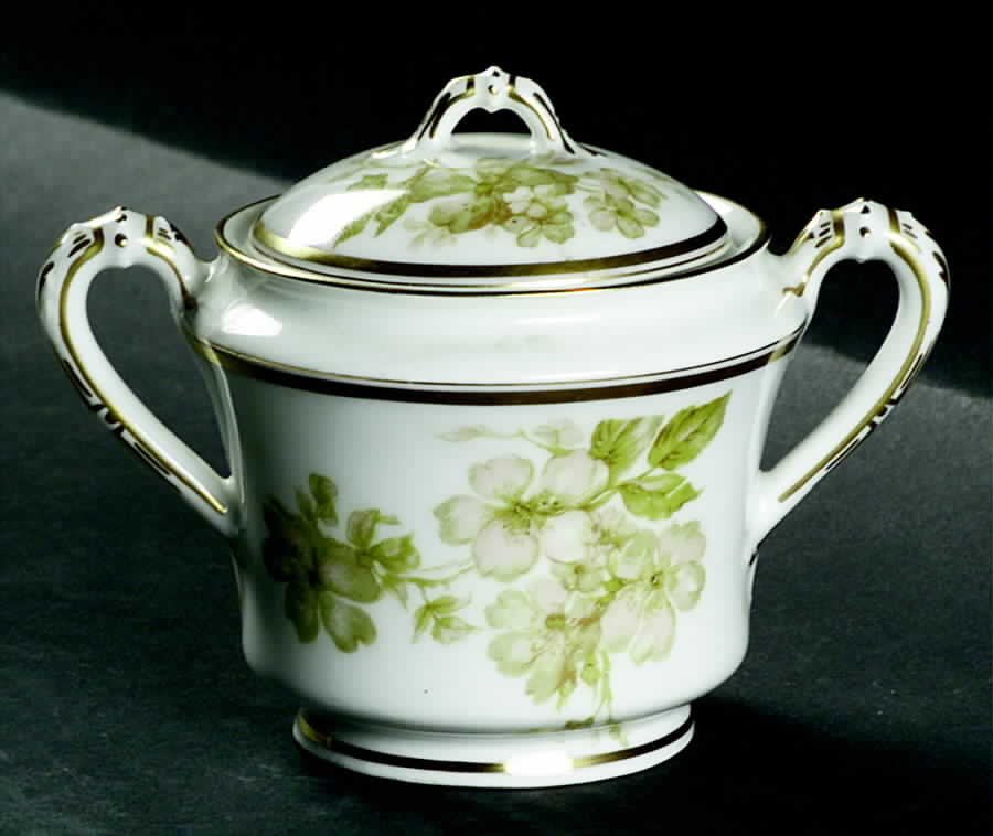 Schleiger 40a Sugar Bowl & Lid by Haviland-1