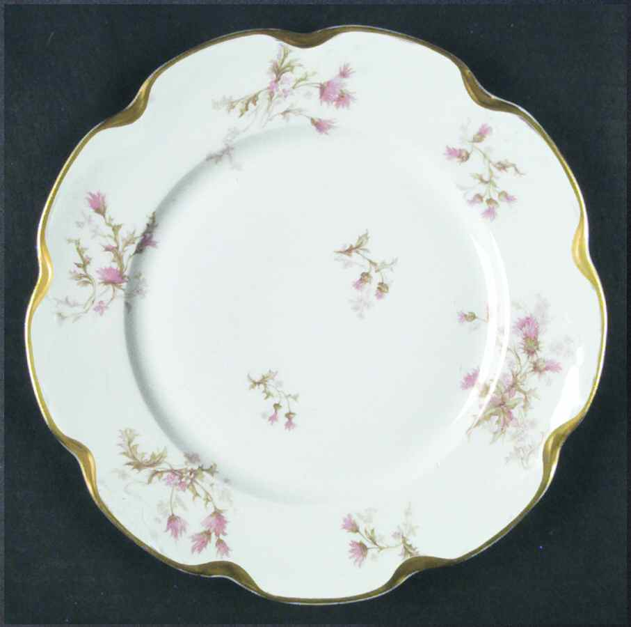 Schleiger 41i Dinner Plate by Haviland-1