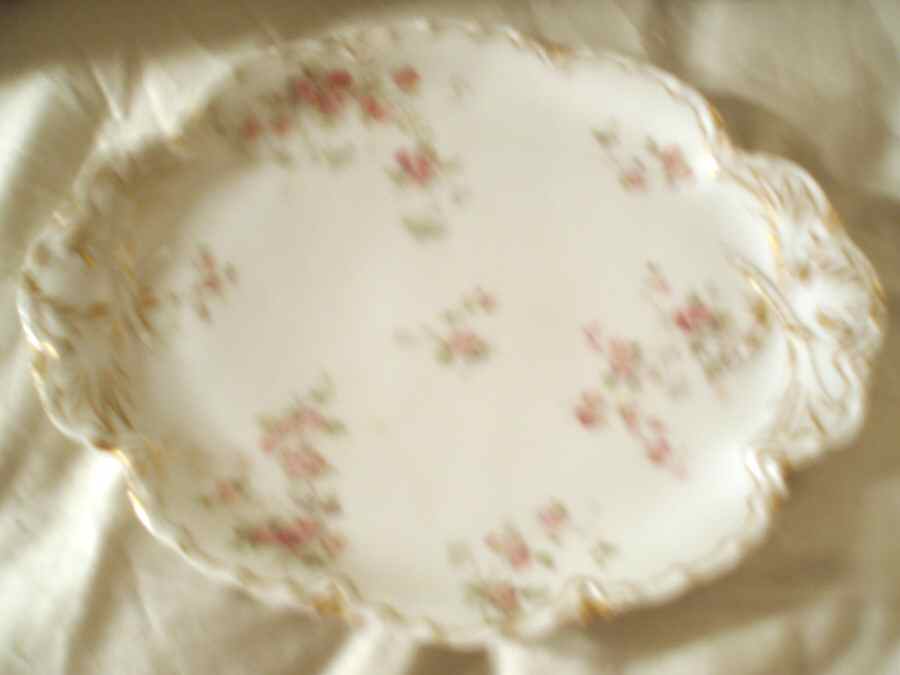 Schleiger 42f 10" Oval Serving Platter by Haviland-1
