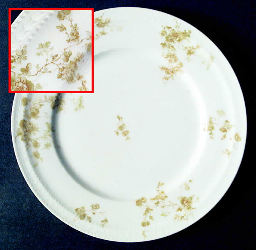Schleiger 42N Dinner Plate by Haviland-1