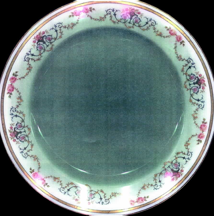 H1253 Dinner Plate by Haviland-1