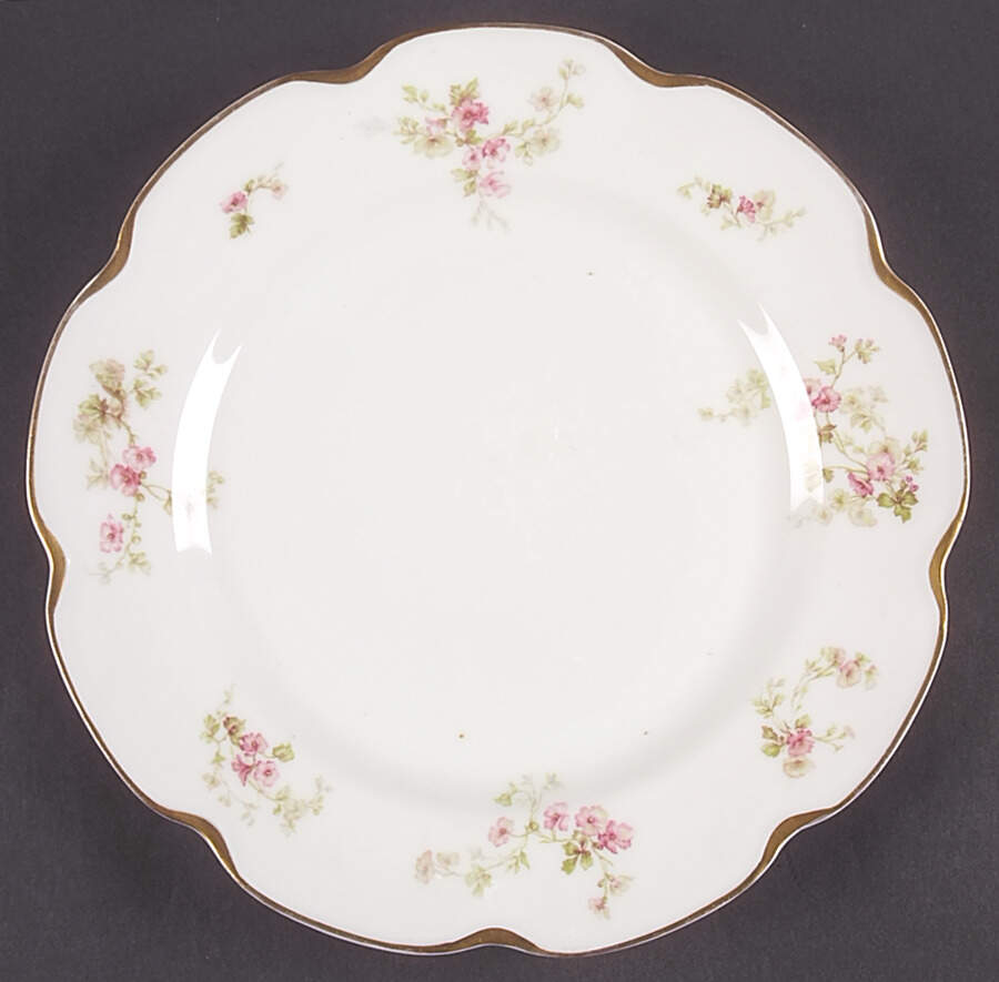 Schleiger 48 Dinner Plate by Haviland-1