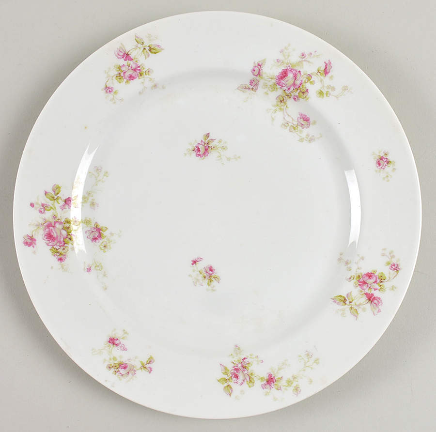 Schleiger 49e Dinner Plate by Haviland-1