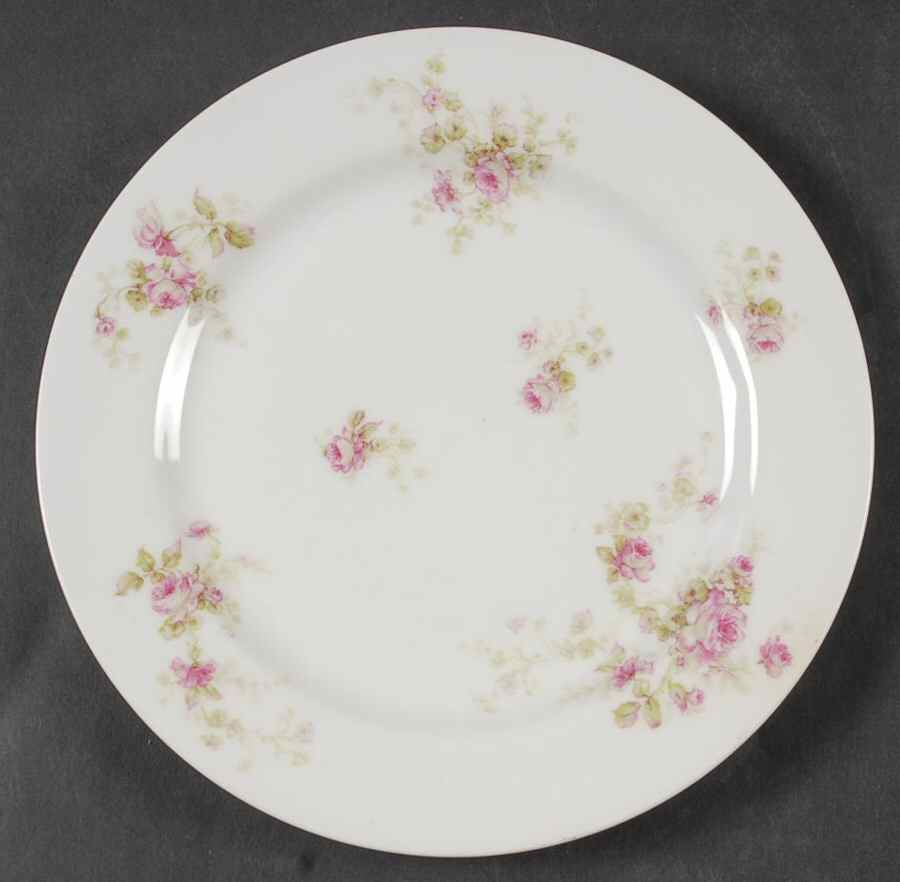 Schleiger 49e Salad Plate by Haviland-1