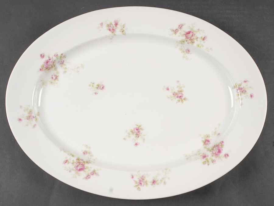 Schleiger 49e 16" Oval Serving Platter by Haviland-1