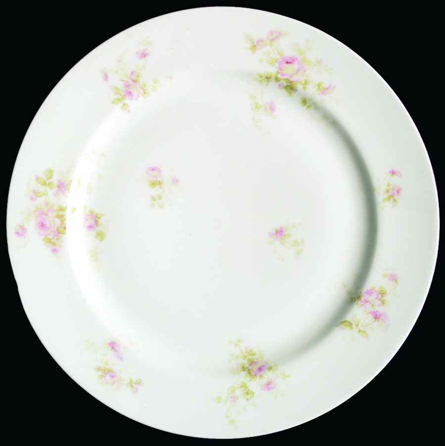Schleiger 49f Dinner Plate by Haviland-1