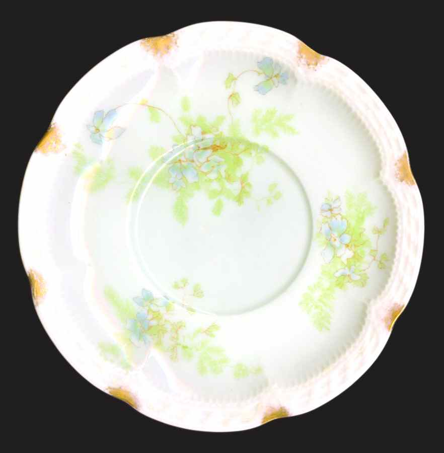 Schleiger 52m Saucer by Haviland-1