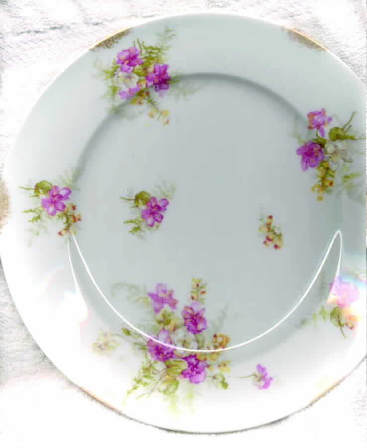H1259 Dinner Plate by Haviland-1