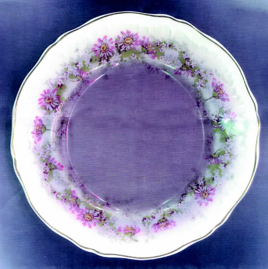 Sandra Bread & Butter Plate by Haviland-1