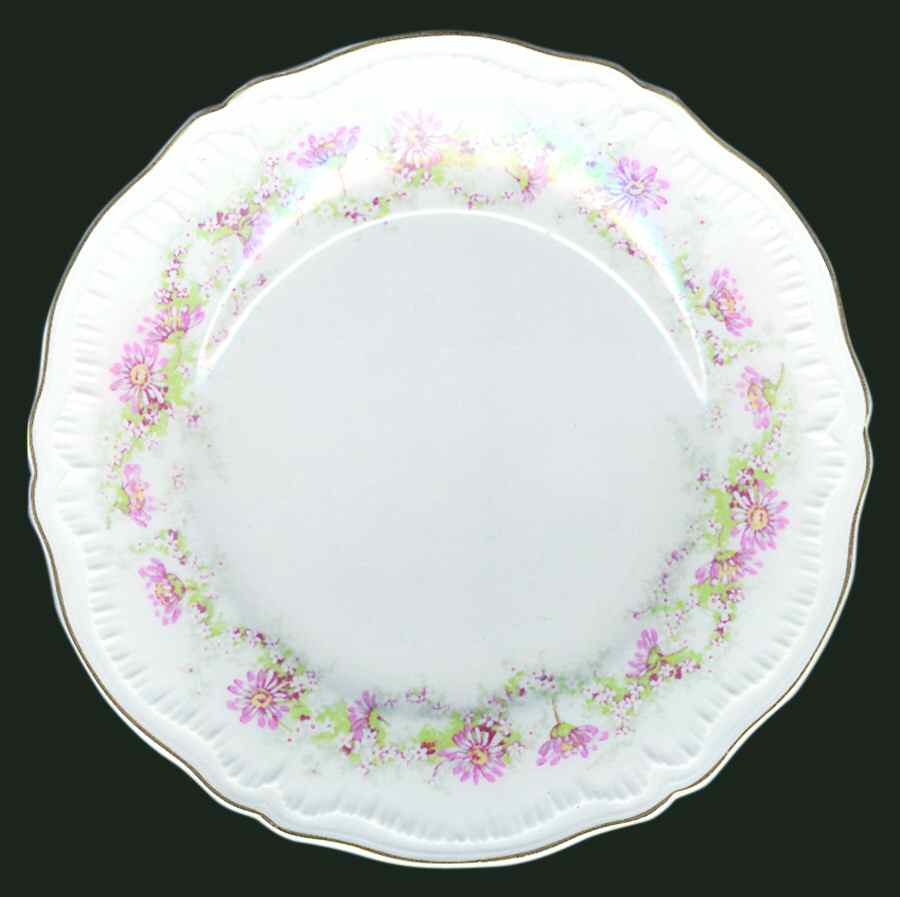 Sandra Dinner Plate by Haviland-1
