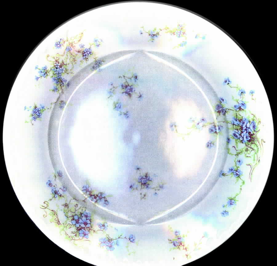 Schleiger 155-3 Dinner Plate by Haviland-1