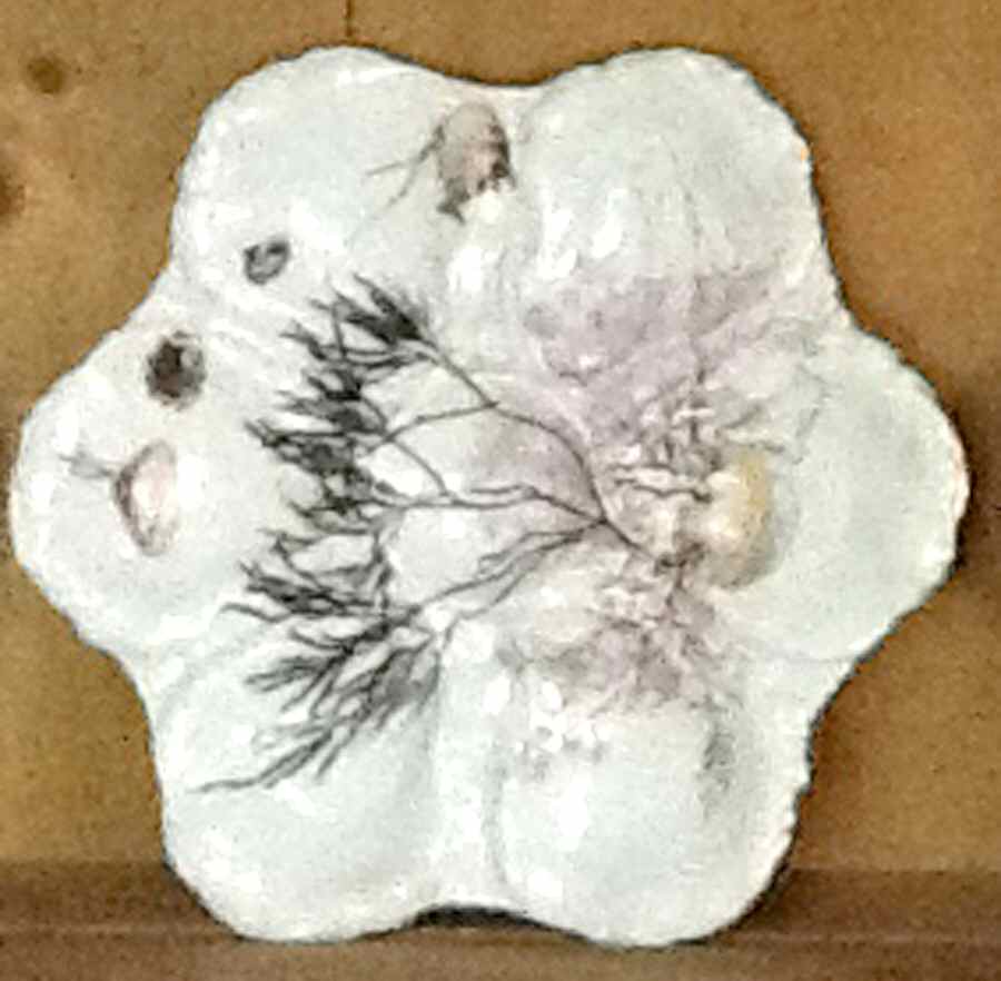 Sea Life Oyster Plate by Haviland-1