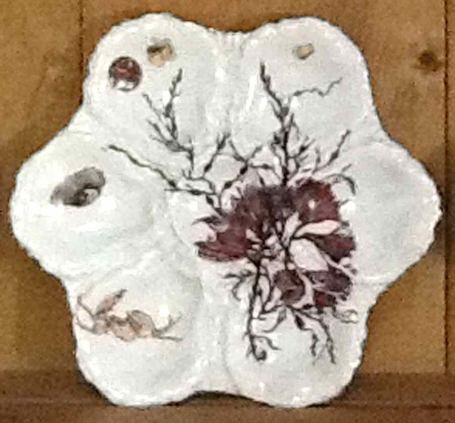 Sea Life Oyster Plate by Haviland-1