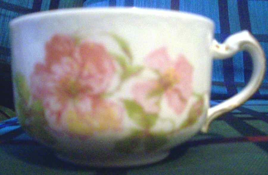 Schleiger 59a Flat Cup by Haviland-1