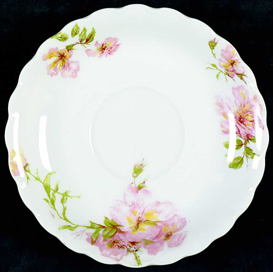 Schleiger 59i Saucer for Demitasse Cup by Haviland-1