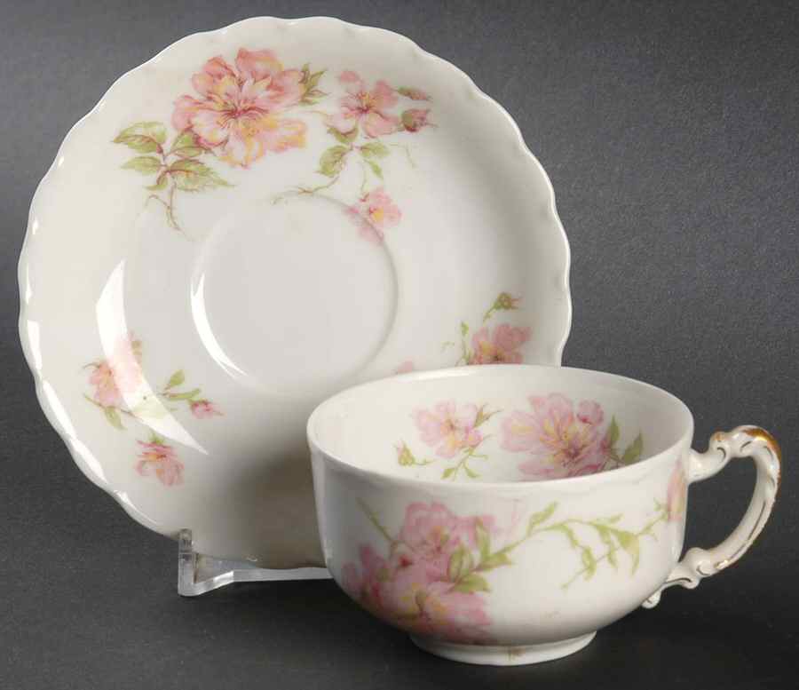 Schleiger 59i Flat Demitasse Cup & Saucer Set by Haviland-1