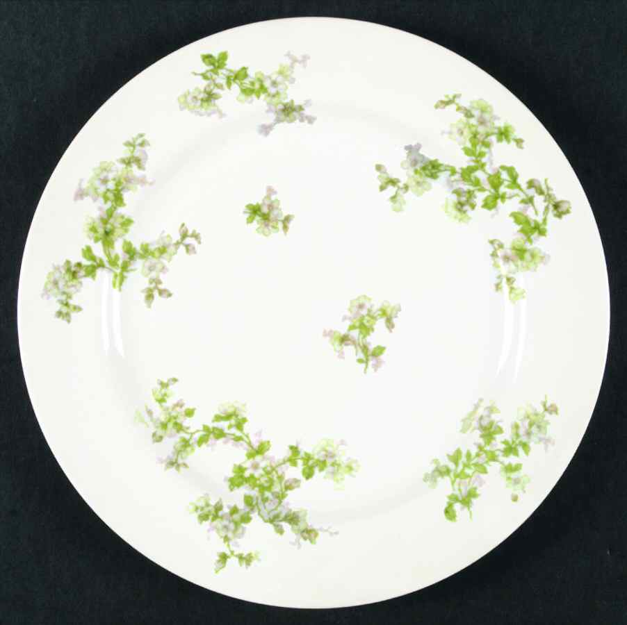 Schleiger 61i Dinner Plate by Haviland-1