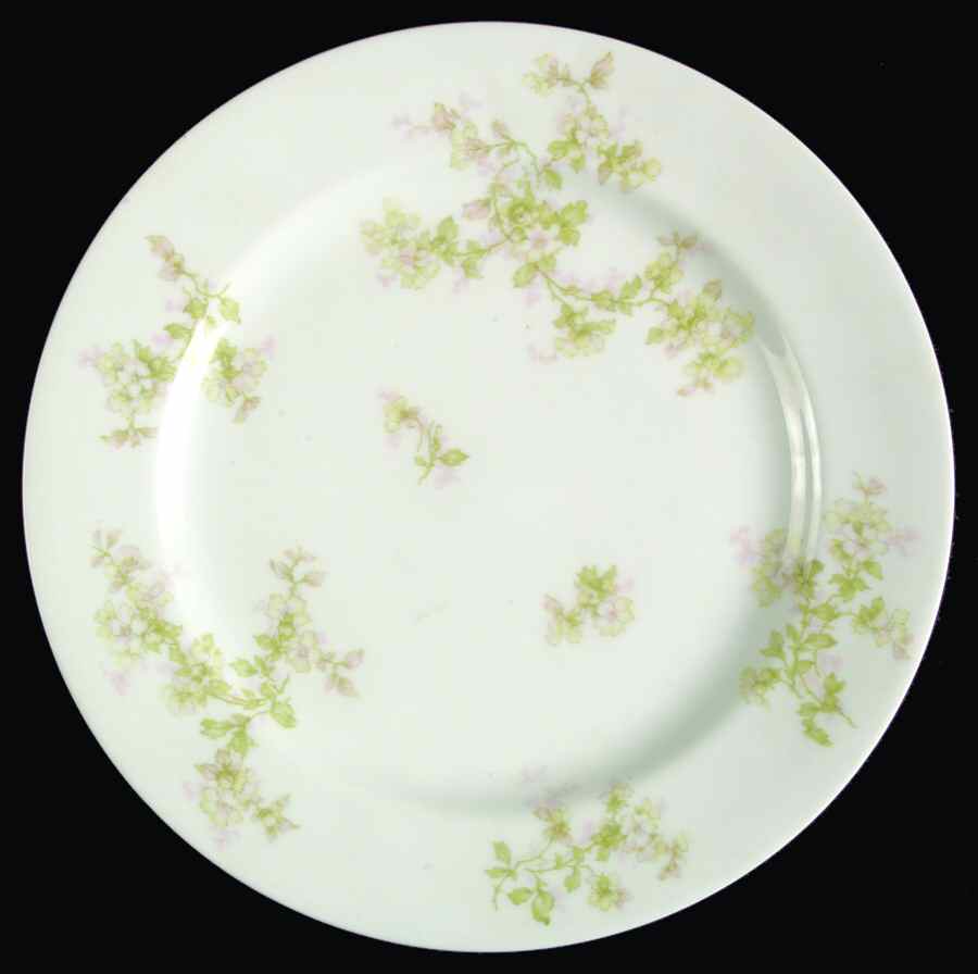 Schleiger 61i Luncheon Plate by Haviland-1