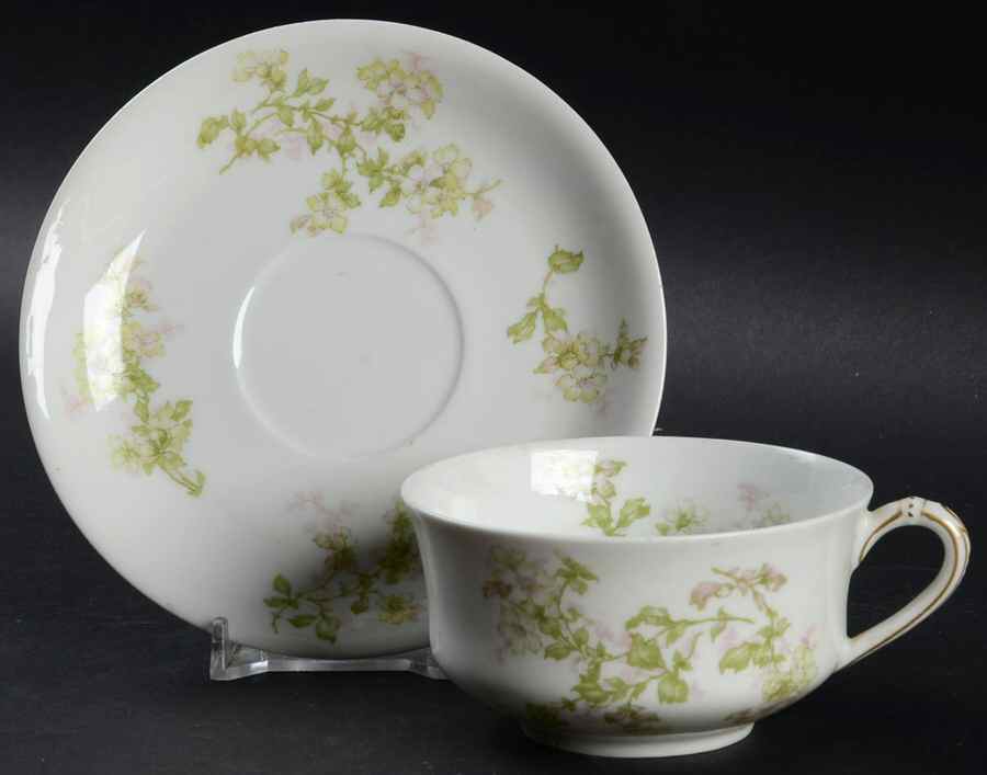 Schleiger 61i Flat Cup & Saucer Set by Haviland-1