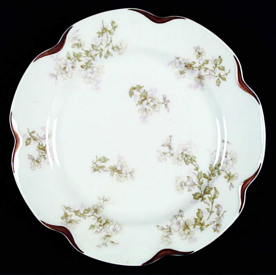 Schleiger 61p Salad Plate by Haviland-1