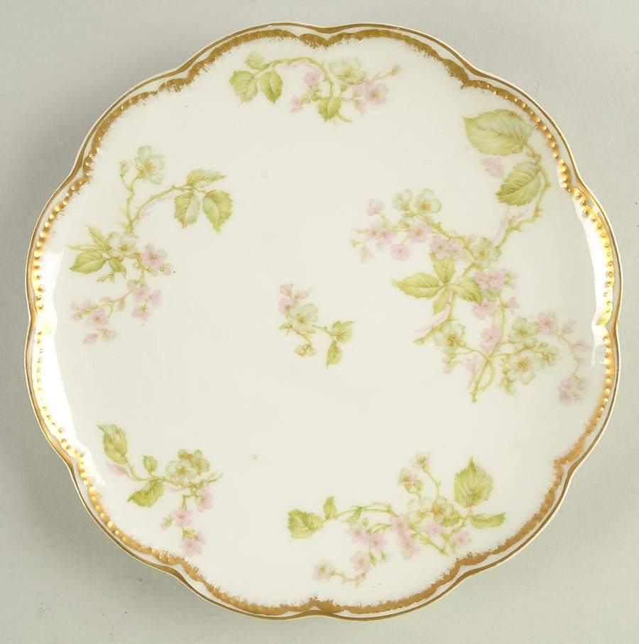 Schleiger 62j Coupe Salad Plate by Haviland-1