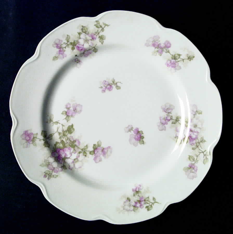 Schleiger 66a Dinner Plate by Haviland-1
