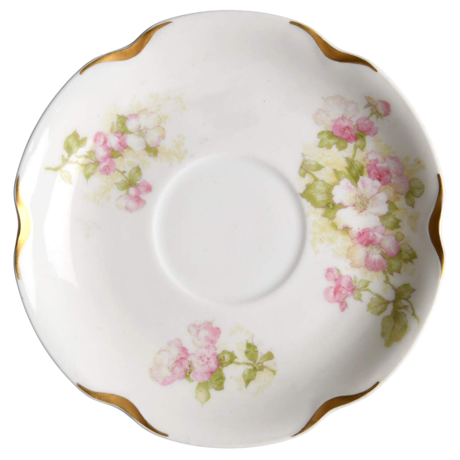 Schleiger 66m Saucer by Haviland-1