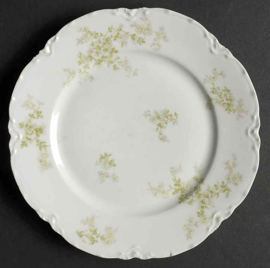 Schleiger 67i Salad Plate by Haviland-1